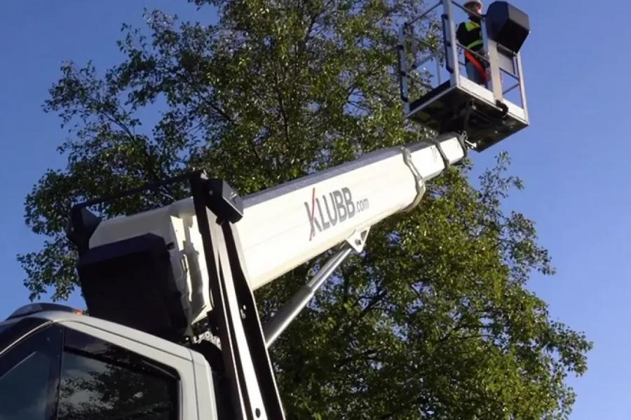 What are the main advantages of using an aerial work platform for arborists? 