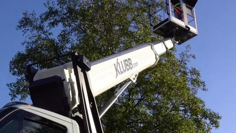 What are the main advantages of using an aerial work platform for arborists? 